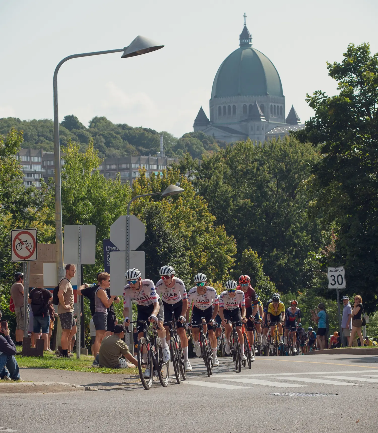 The bunch climbing a road lined with fans, with the dome of Saint Joseph's Oratory above the trees.