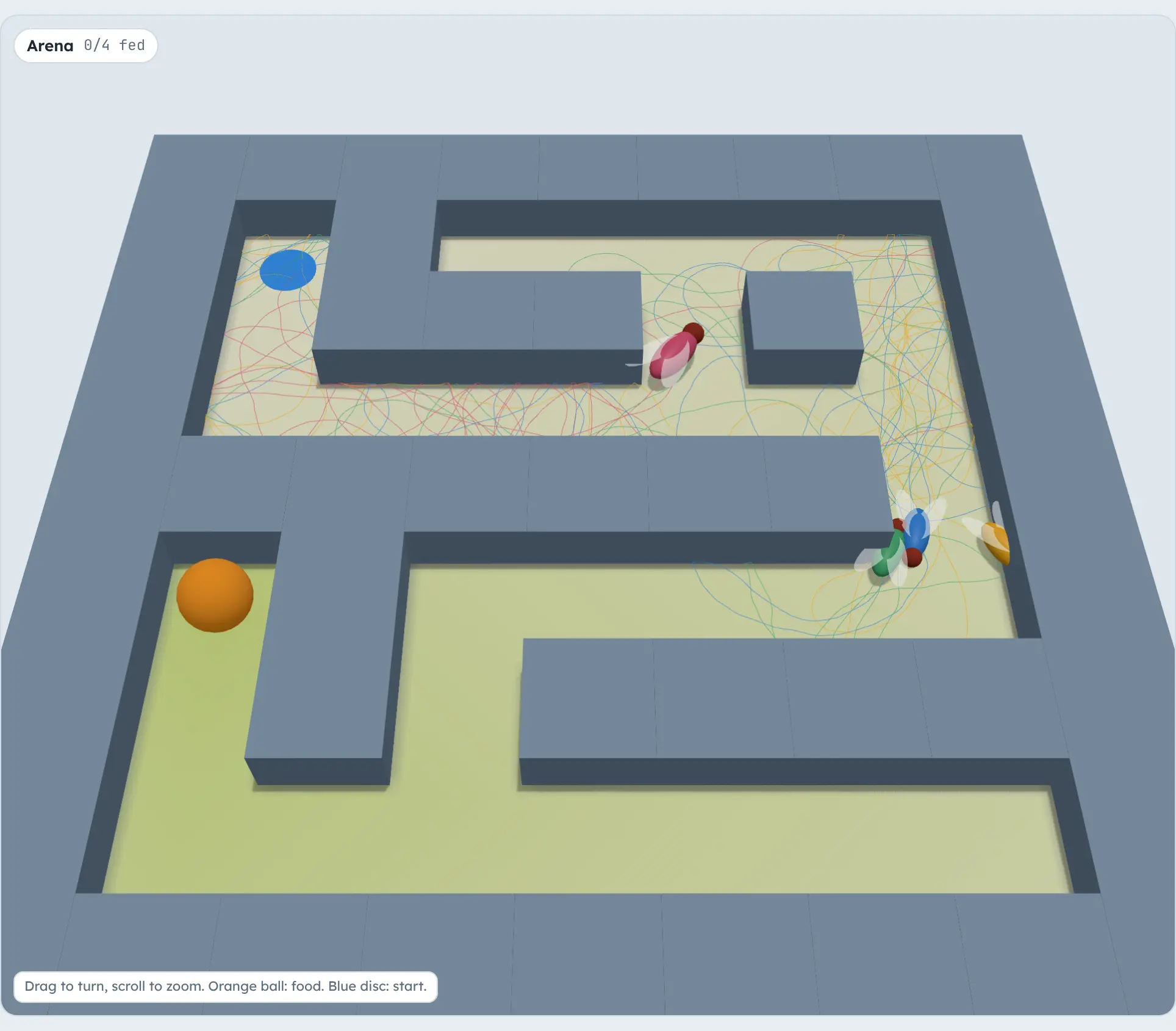 A 4 by 4 maze 40 seconds into a run: four flies still searching, the start marked by a blue disc, the food by an orange ball, and thin coloured trails where each fly has walked.